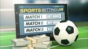 Exploring the Excitement of Yellow Bet 3 Exploring the Excitement of Yellow Bet 3