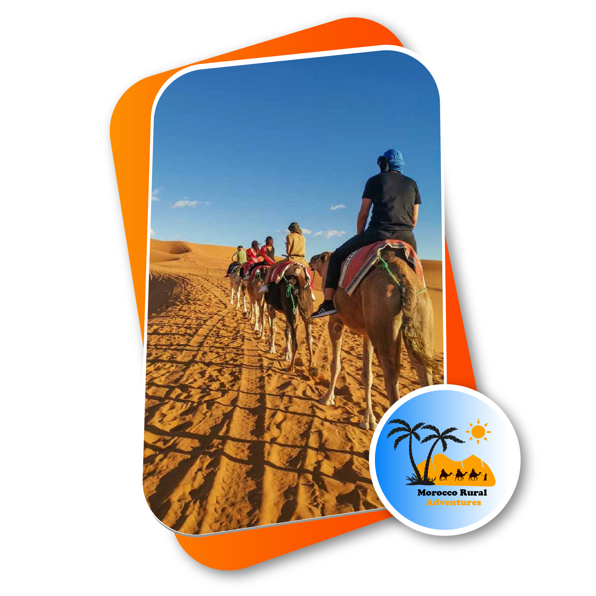 Merzouga Camel Morocco