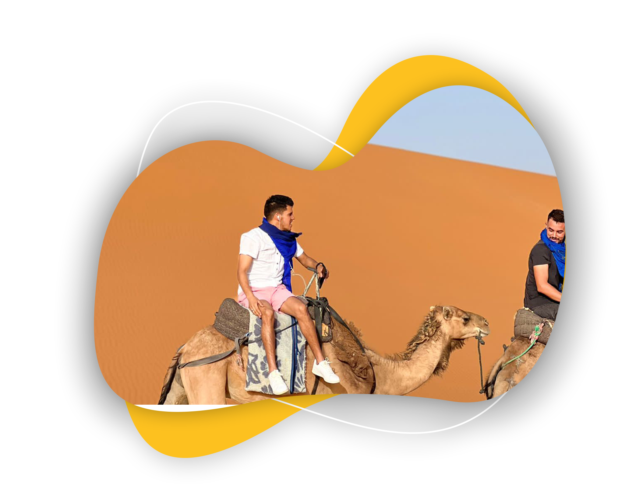 sahaara Camel morocco